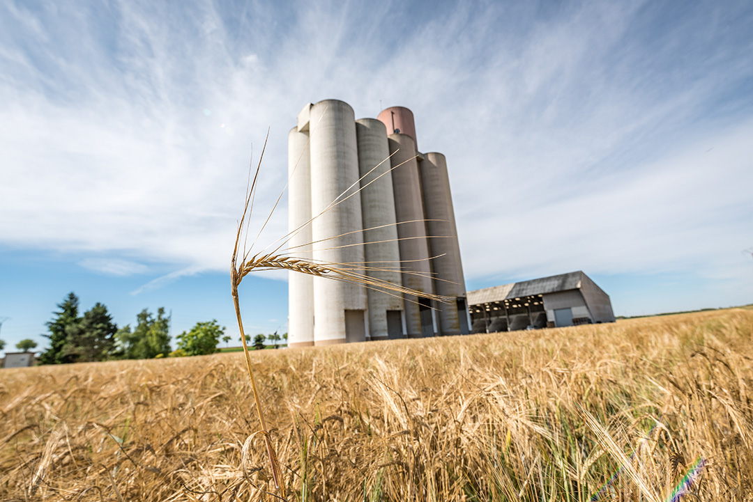 Scara - Coopérative agricole céréalière Aube - Valeur d&#039;avenir