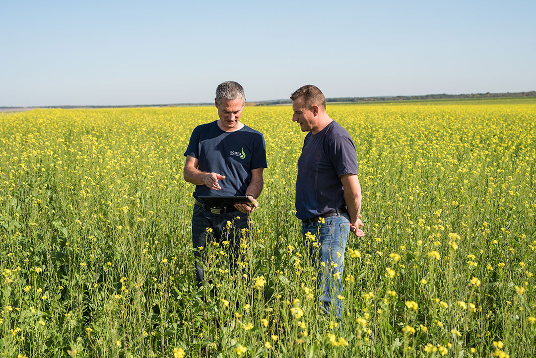 Scara - Coopérative agricole céréalière Aube - Valeur d&#039;avenir