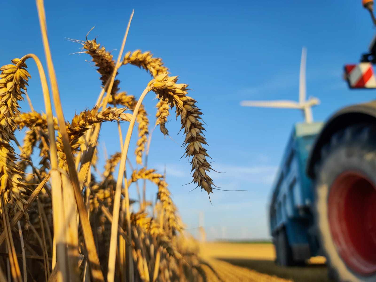 Scara - Coopérative agricole céréalière Aube